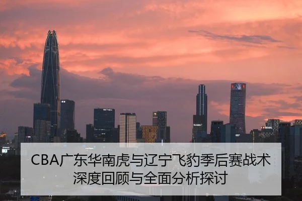 CBA广东华南虎与辽宁飞豹季后赛战术深度回顾与全面分析探讨